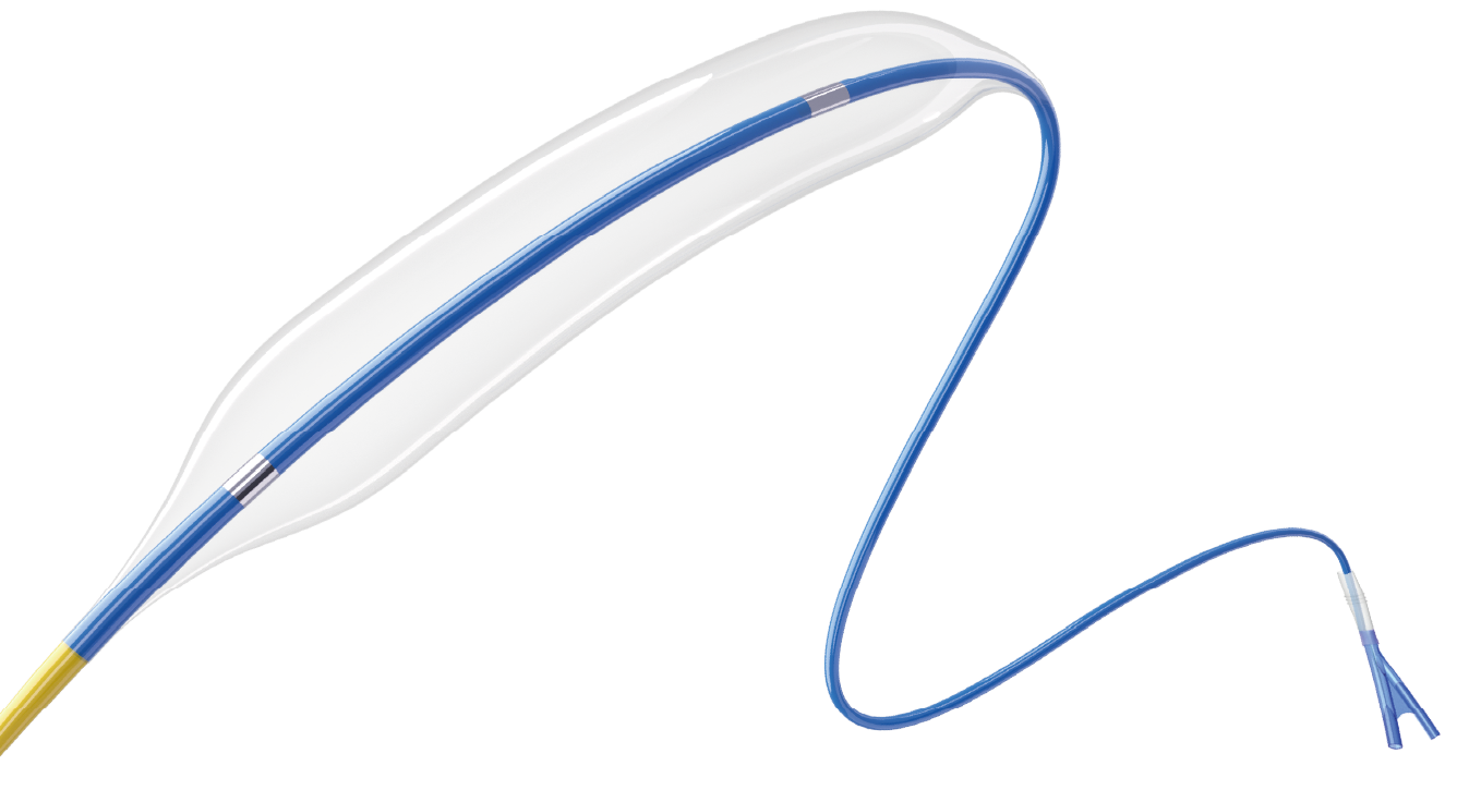 PTCA Balloon Catheters