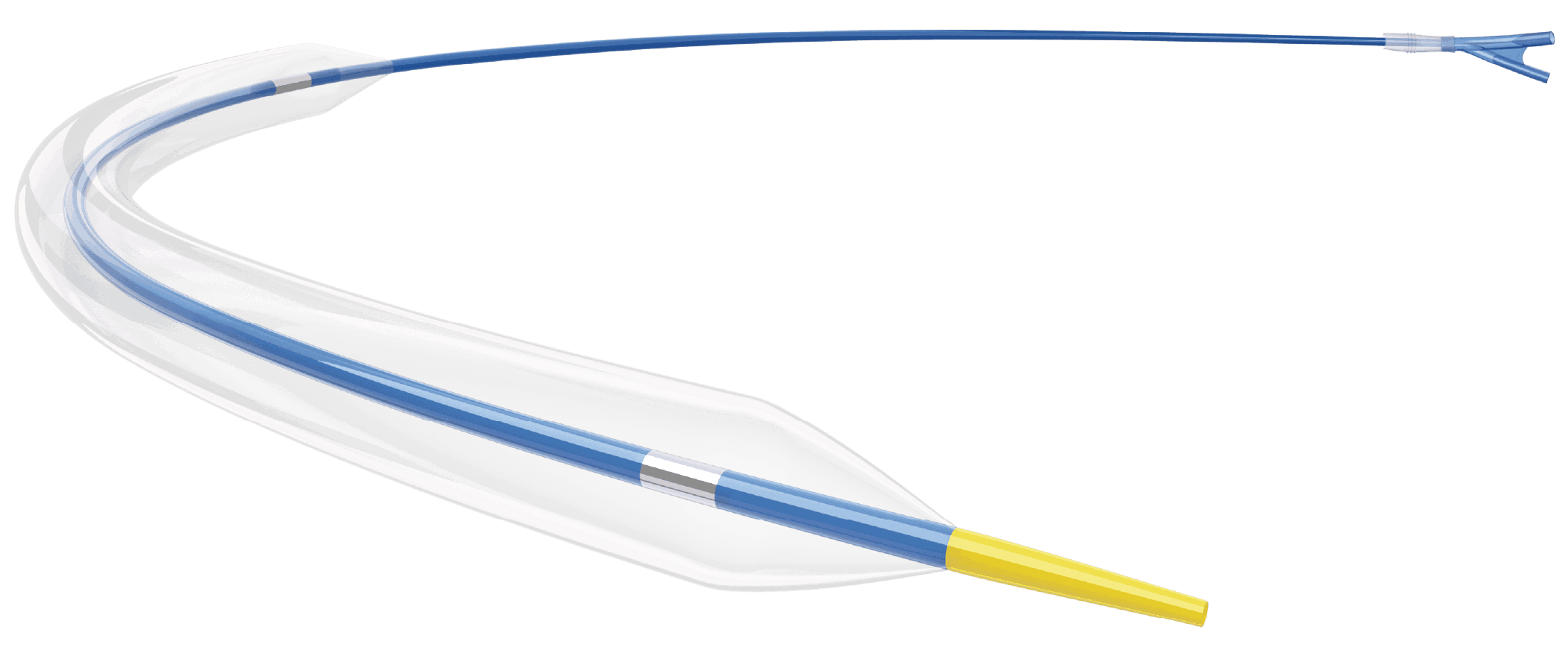 PTA Balloon Catheter
