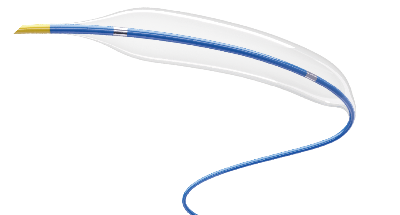 PTCA Balloon Catheter